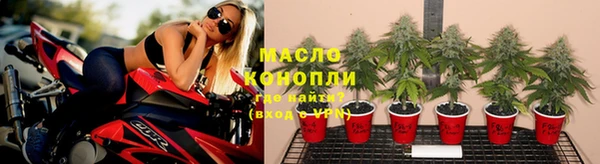твердый Надым